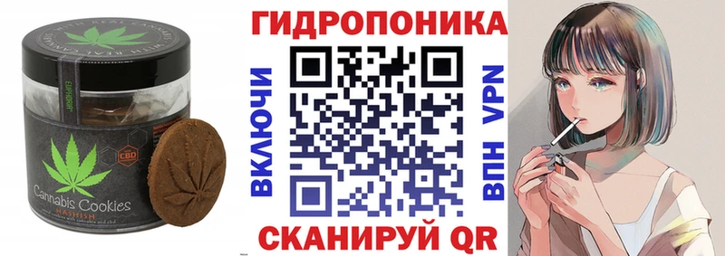 Cannafood конопля  Шумиха 