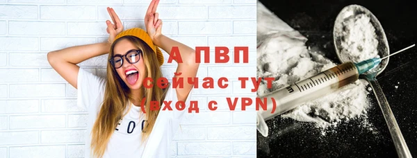 мдпв Богородск