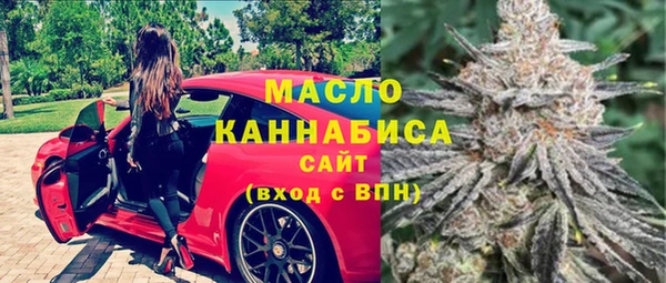 мдпв Богородск