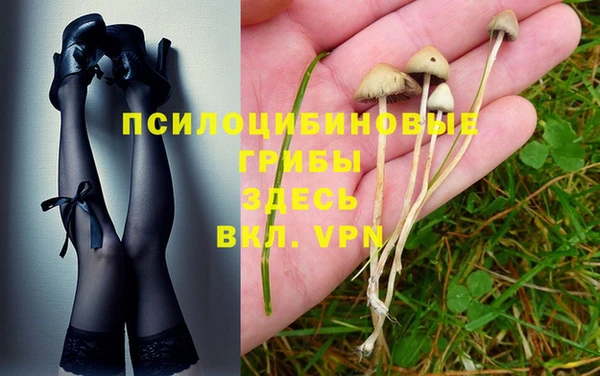мдпв Богородск