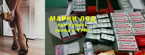 амф Осташков