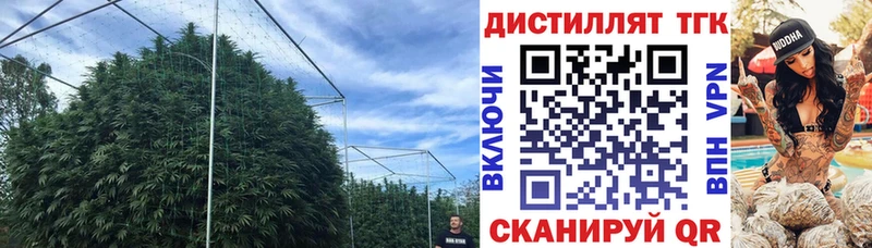ТГК Wax  Шумиха 