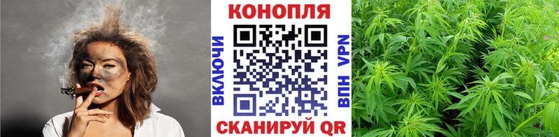 Конопля SATIVA & INDICA  shop официальный сайт  Шумиха 